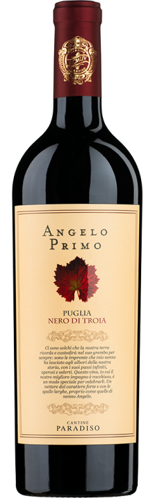 2021 Angelo Primo Nero di Troia Puglia IGP Cantine Paradiso 750