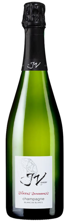 Champagne Silexus Sezannensis Blanc de Blancs Extra Brut J. Vignier 750