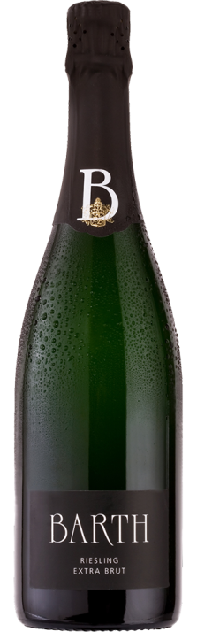 Sekt Riesling Extra Brut Barth (Bio) 750