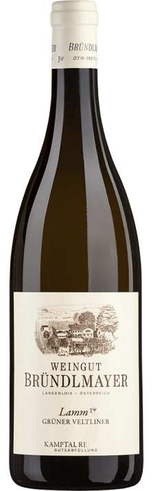 2019 Grüner Veltliner Ried Lamm Kamptal DAC Weingut Bründlmayer (Bio) 750