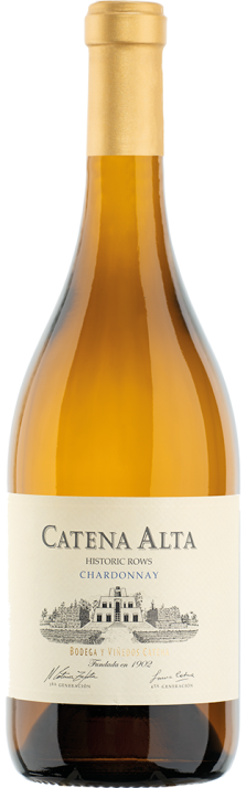 2019 Chardonnay Catena Alta Mendoza Bodega y Viñedos Catena 750