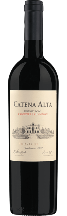 2020 Cabernet Sauvignon Catena Alta Mendoza Bodega y Viñedos Catena 750