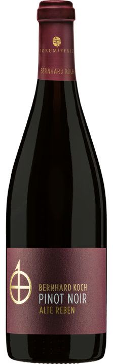 2019 Pinot Noir Réserve Alte Reben Pfalz Weingut Bernhard Koch 750