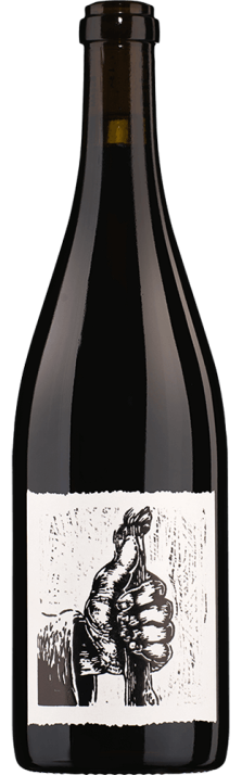 2019 Pinot Noir Graubünden AOC Matthias & Sina Gubler 750