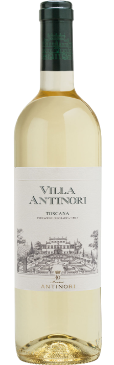 VILLA ANTINORI BIANCO Bianco Toscana Wein IGT Mövenpick Shop 